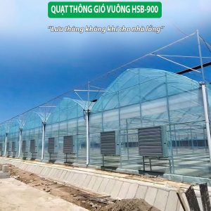 Quạt Thông Gió Vuông Hawin HSB-900