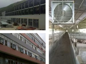 quạt thông gió vuông Soffnet DF-50