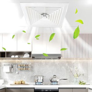 quạt hút âm trần Soffnet ATS 600-1