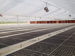 quạt thông gió tròn Maya Fan PKS-200