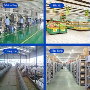 Quạt thông gió vuông Omysu BMF-1000