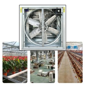 Quạt thông gió vuông Omysu BMF-800