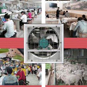 Quạt thông gió vuông Soffnet DF-40