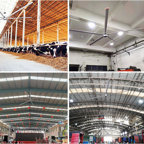 Quạt trần công nghiệp 5.5m