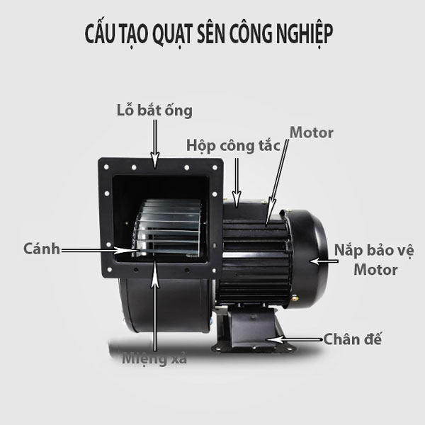 quạt sên công nghiệp