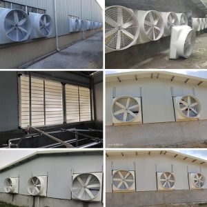 Quạt Composite Giải Pháp Tối ưu Cho Môi Trường Khắc Nghiệt